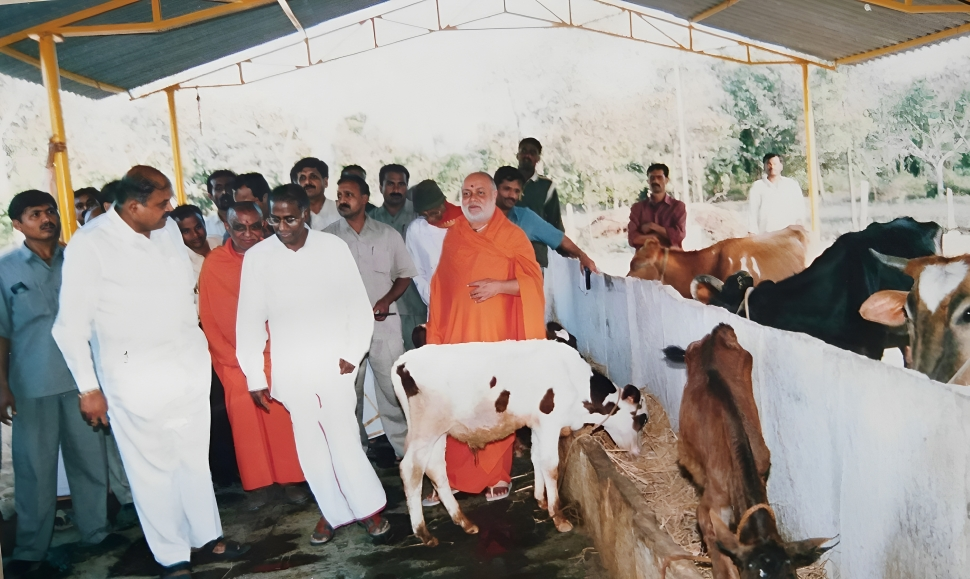 Aakalu (Cattle Protection)