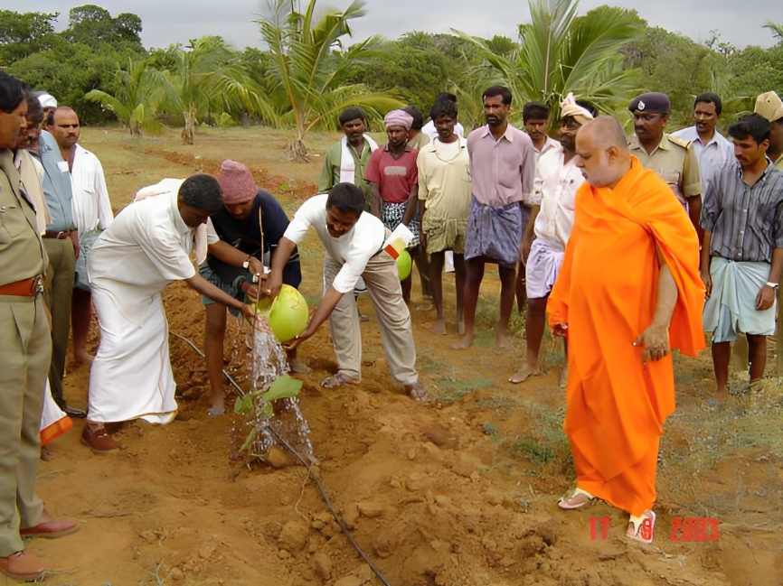 Aranya (Afforestation)